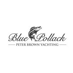 Blue Pollack