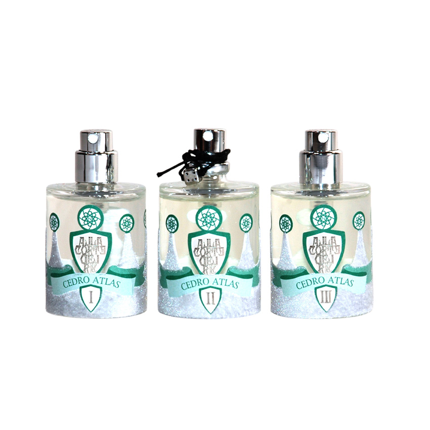 ZESTAW - Ragazzi Cedro Atlas