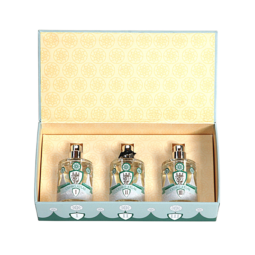 ZESTAW - Ragazzi Cedro Atlas