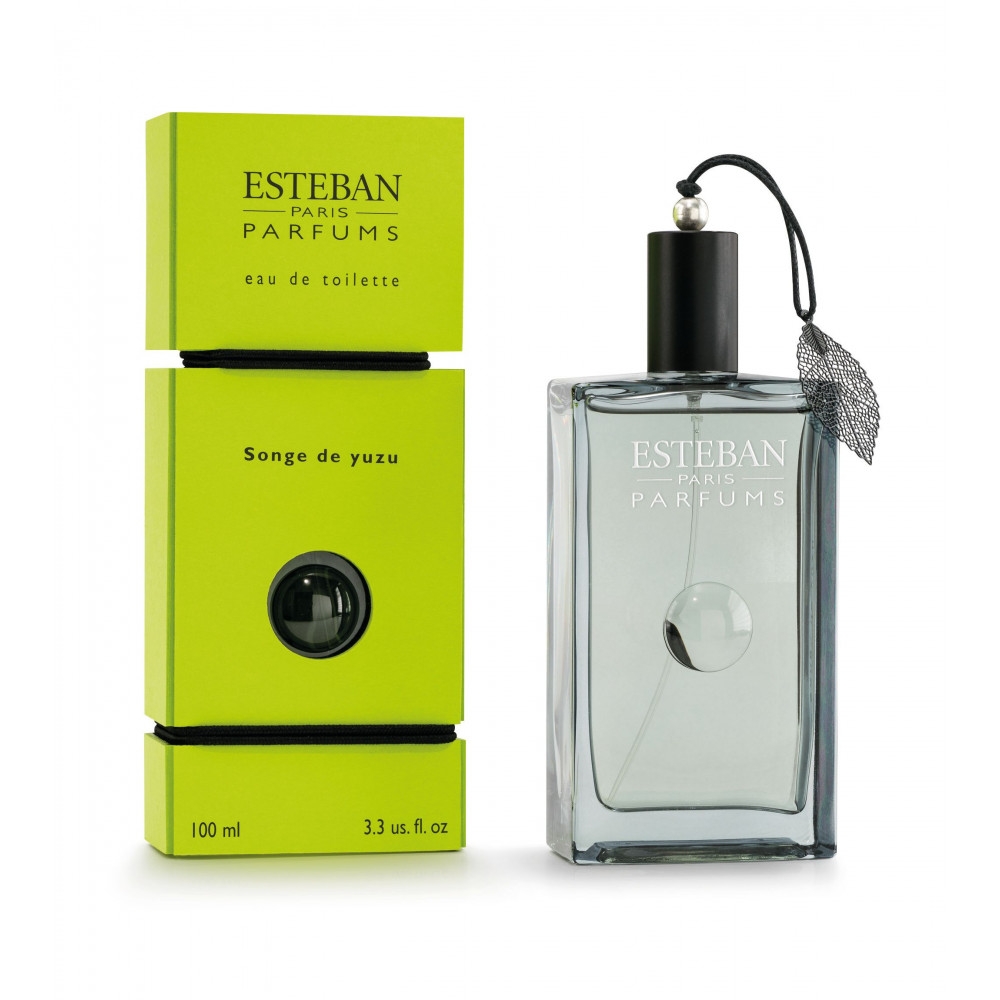 SONGE DE YUZU