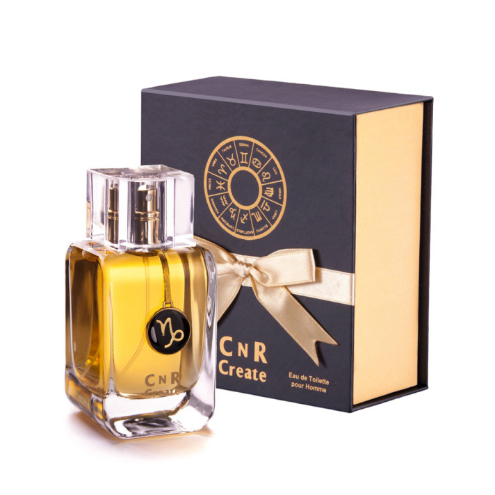 Capricorn / Koziorożec