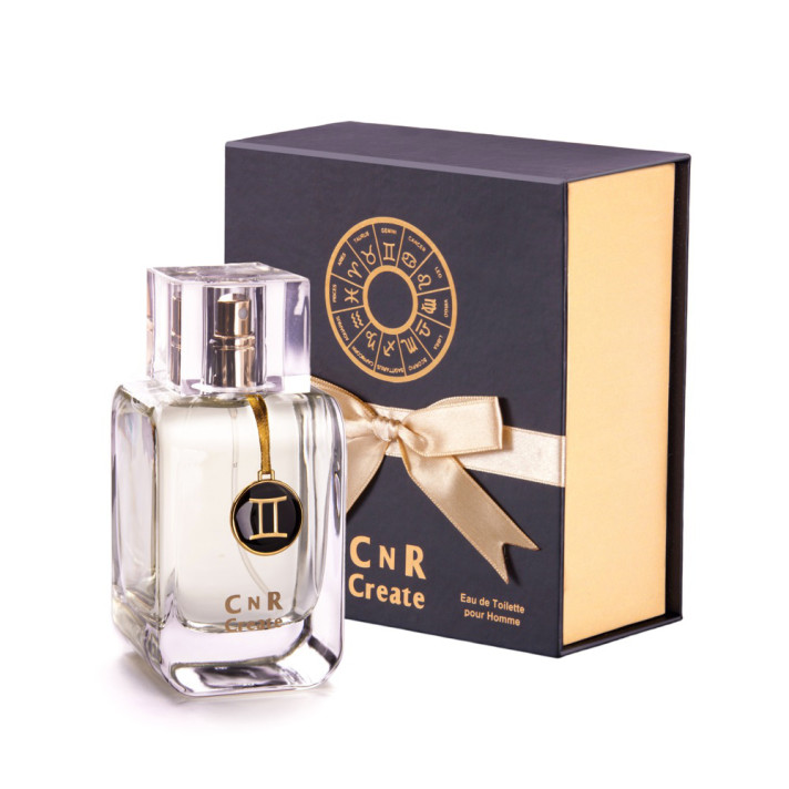 Gemini / Bliźnięta